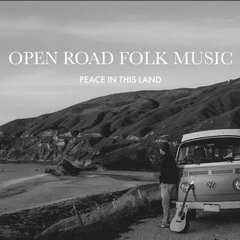 Peace In This Land cover